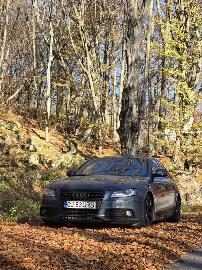 Audi A4B8 2.0 TDI