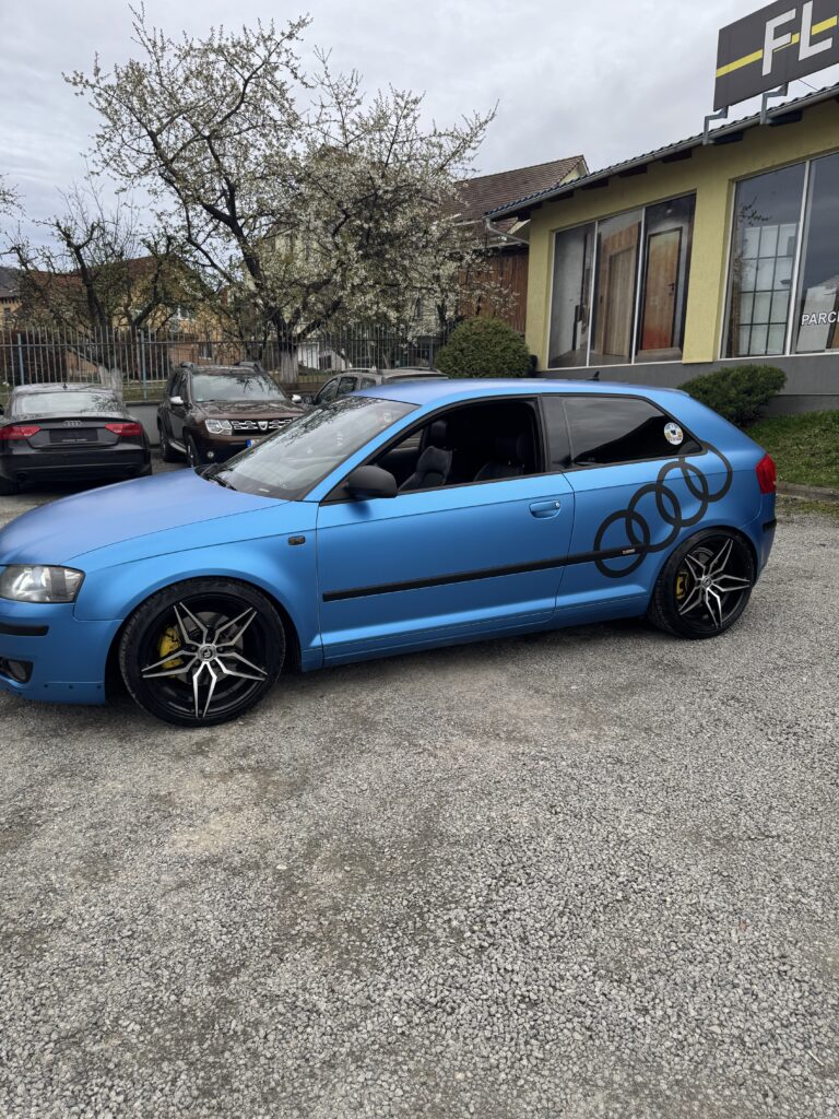 Audi A3 8P 2.0TFSI Quattro